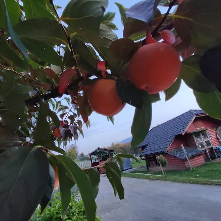 Turisticna Kmetija Stupar Apartman *