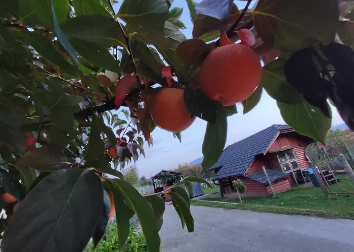 Turisticna Kmetija Stupar Apartment *